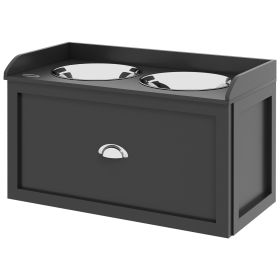 Pet Feeding Station Pet Dish Bowl Set with Storage, 2 Elevated Dog Bowls for Large Sized Dogs, Black